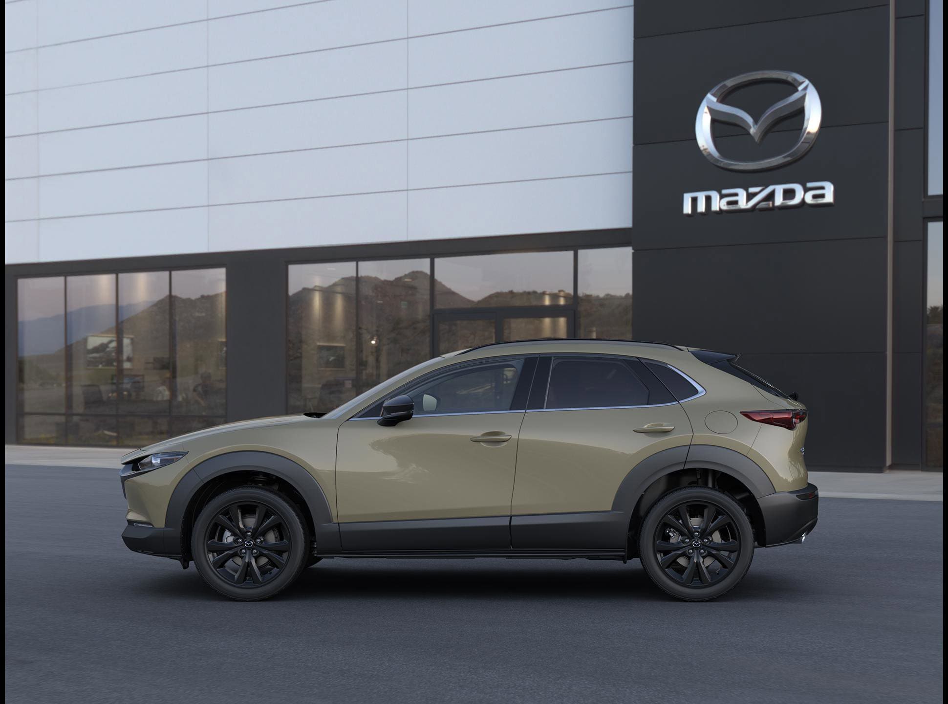 Vehicle Photo