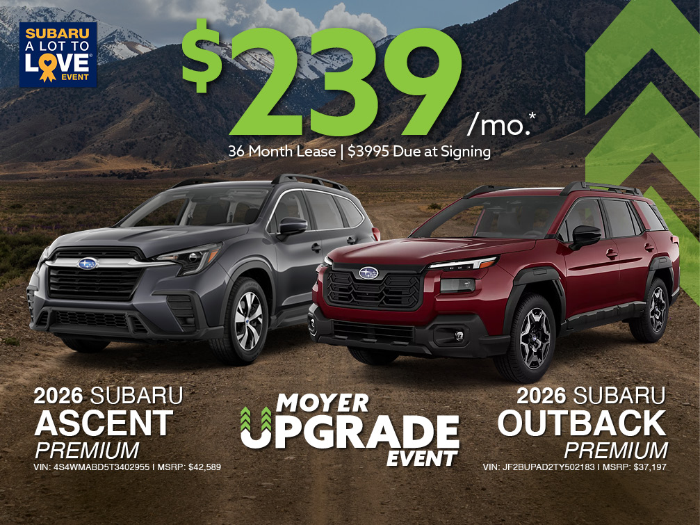 ascent & outback banner