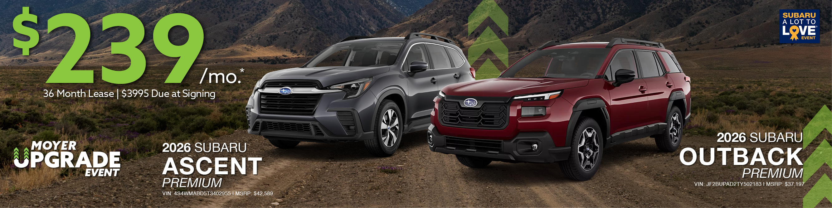 ascent & outback banner