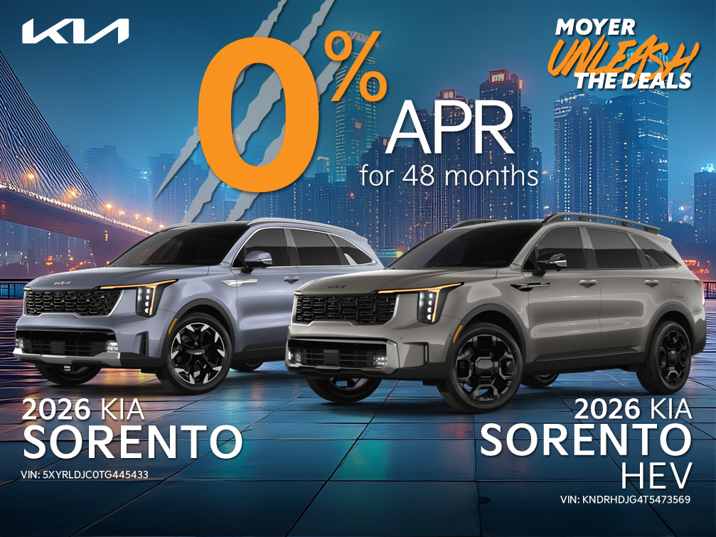 Sorento banner