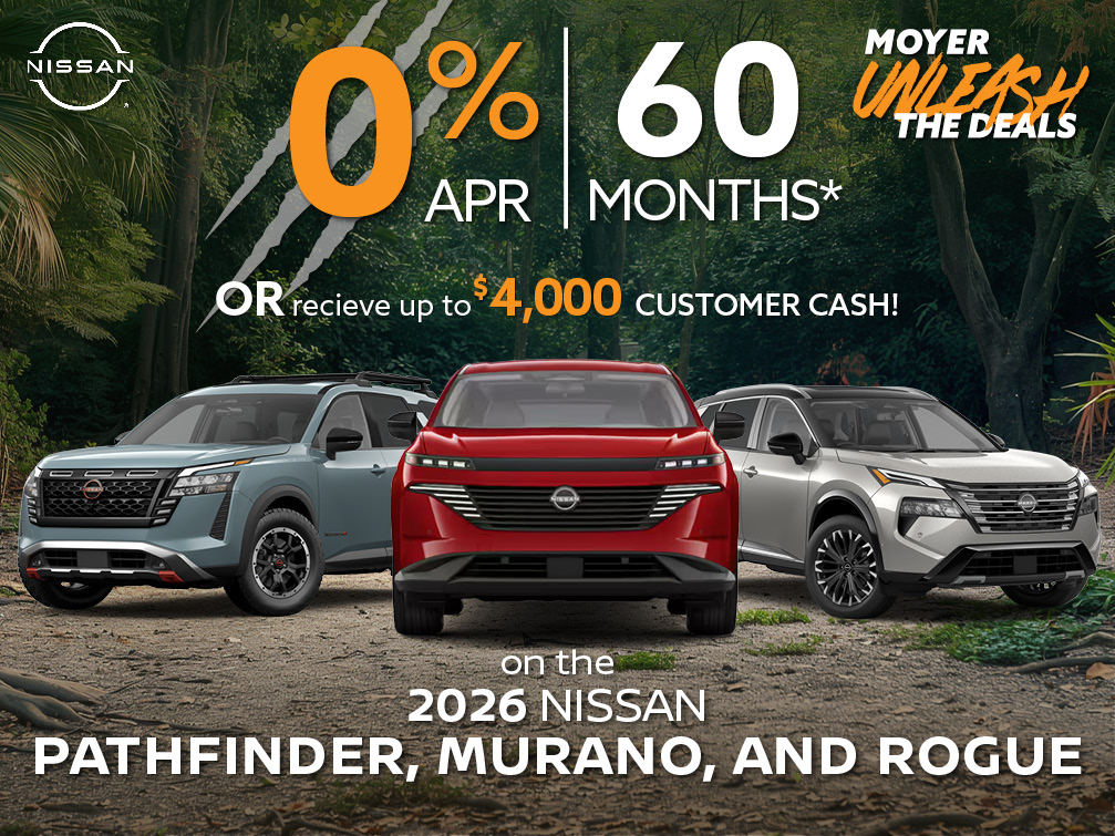 rogue pathfinder murano banner